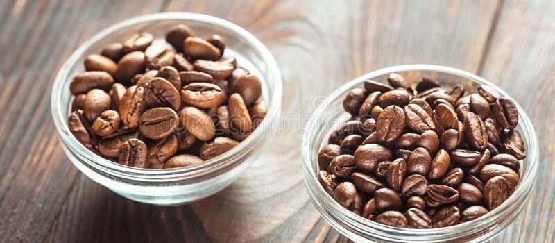 Arabica vs Robusta: which choice?