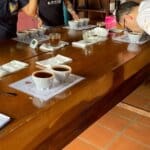 Specialty Coffee: a guide to understand and select