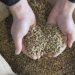 What is Quality Coffee?